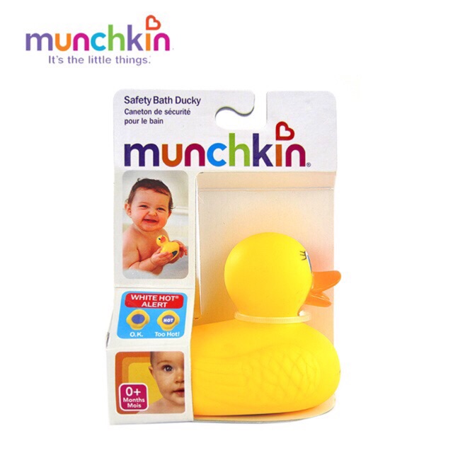 Vịt vàng báo nóng Munchkin