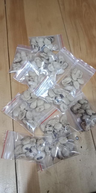 Hạt sang ( sành) rừng 10k/1hạt bán từ 10 hạt | BigBuy360 - bigbuy360.vn