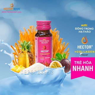 Nước Uống Đông Trùng Hạ Thảo Hector Collagen 5000mg (Combo 5 Chai x 50ml)