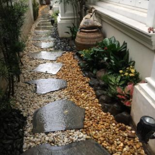 Sỏi vàng tự nhiên
