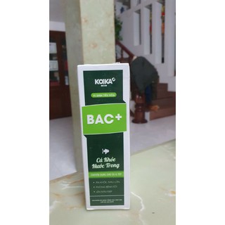 Men vi sinh KoiKa Bac+ cho hồ cá thủy sinh