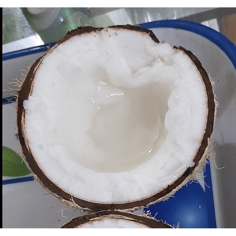 Dừa sáp Trà Vinh Loại 2 (trái 1kg-2kg)