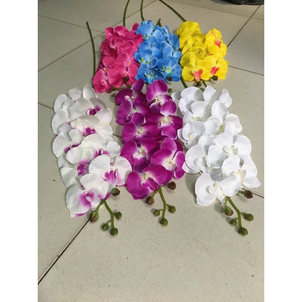 LAN HỒ ĐIỆP - Hoa vải lụa