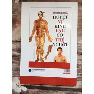 Huyệt vị kinh lạc cơ thể người
