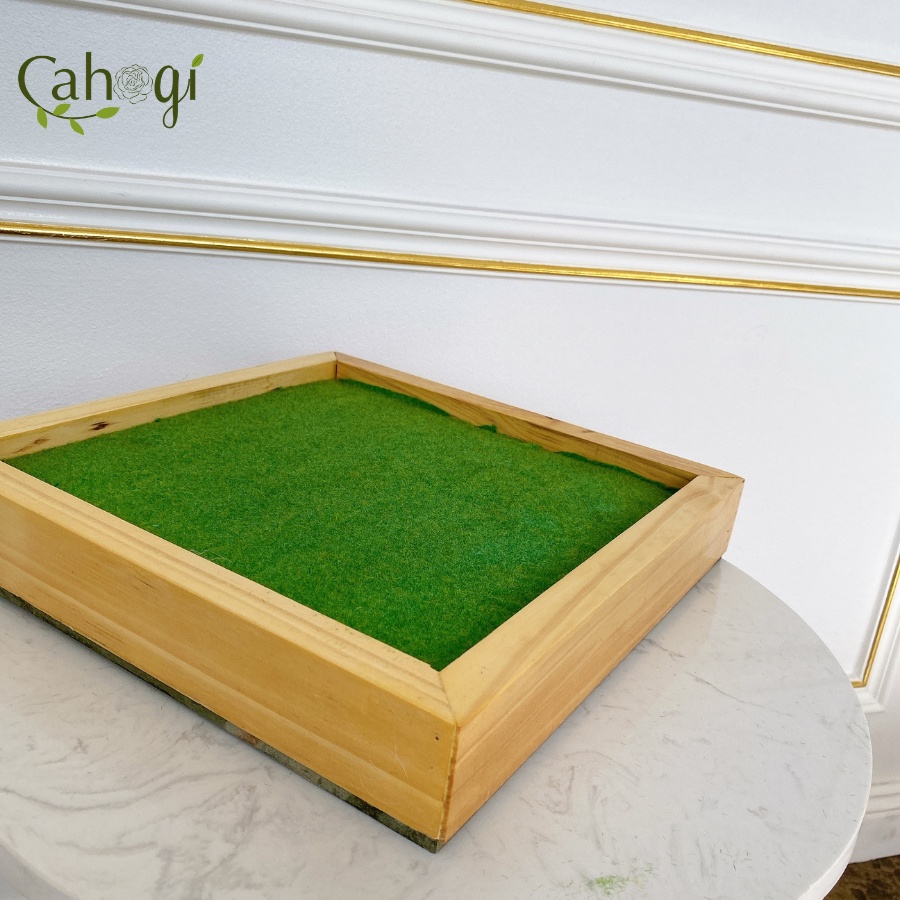 Khung Tranh Vuông Gỗ Thông Dùng Trong Cắm Hoa Và Trang Trí Tiểu Cảnh Terrarium Nhiều Kích Thước