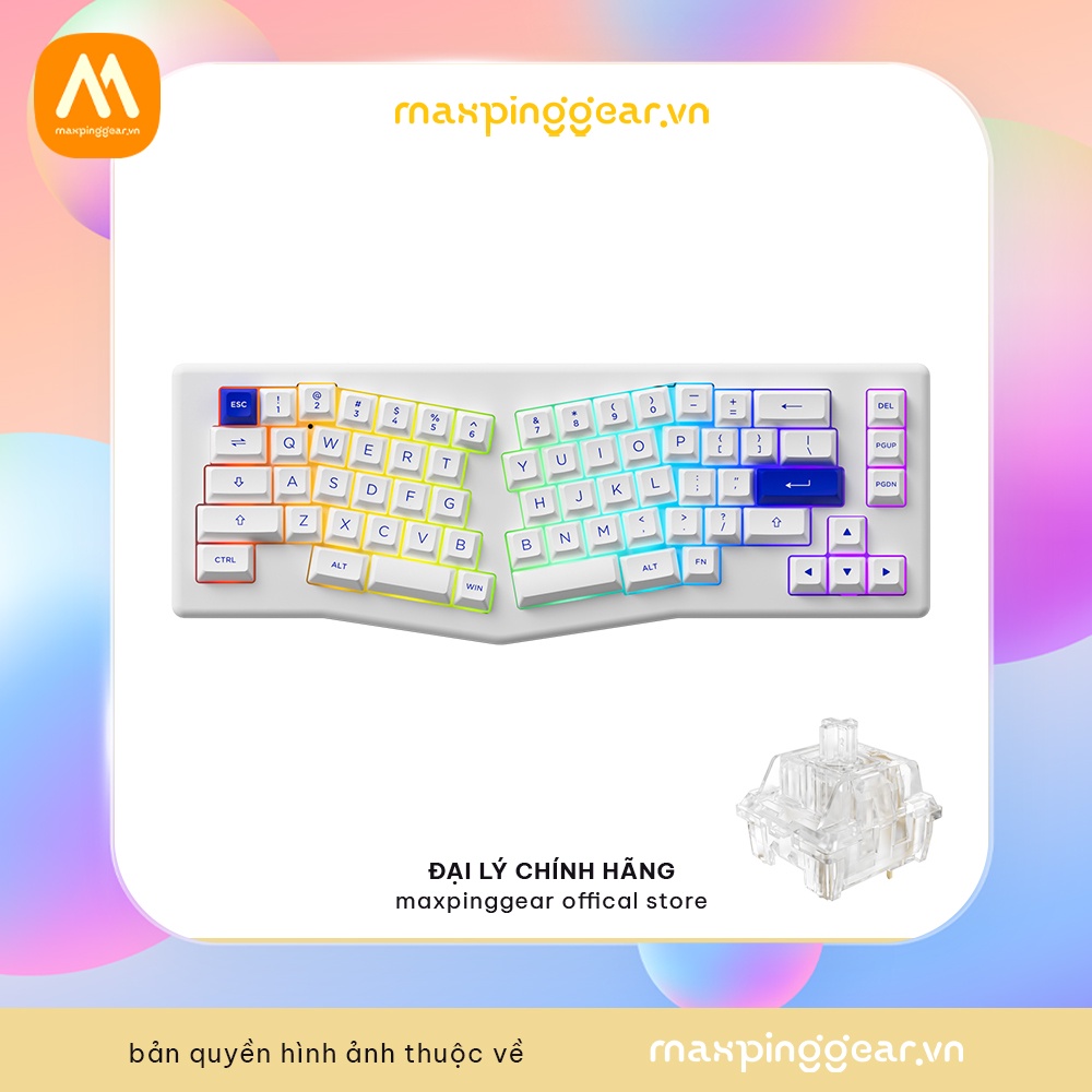 Bàn phím cơ Akko ACR Pro Alice Plus