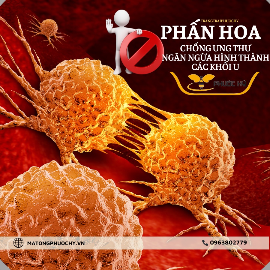Phấn Hoa tự nhiên bổ máu đẹp da hỗ trợ ngủ ngon