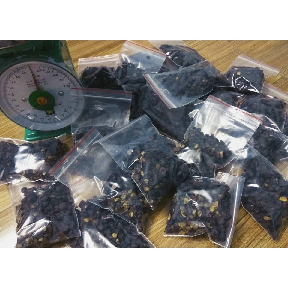 Quả mắc mật khô