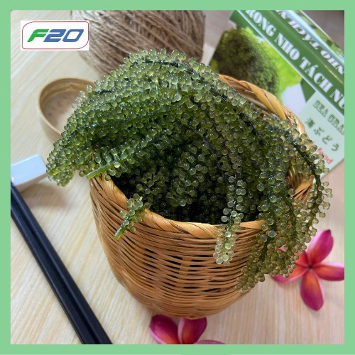 Rong Nho Tách Nước 100gr  tặng sốt mè. Rong Biển Khô. Rong Nho