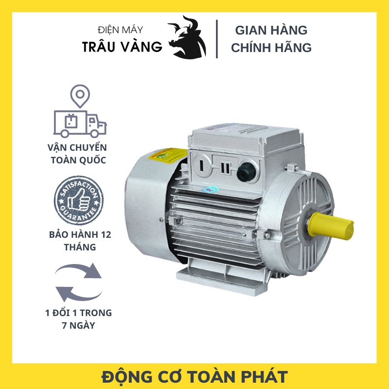 Motor Toàn Phát 1.1KW - Động cơ mini, giá chuẩn thị trường