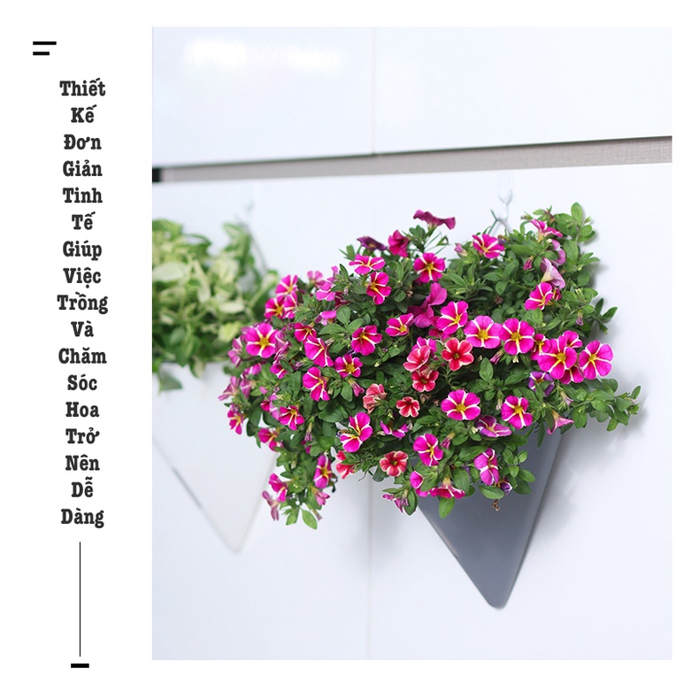 Chậu cây treo tường Oliz K104. Chậu trồng cây có chức năng tự tưới nước cho cây