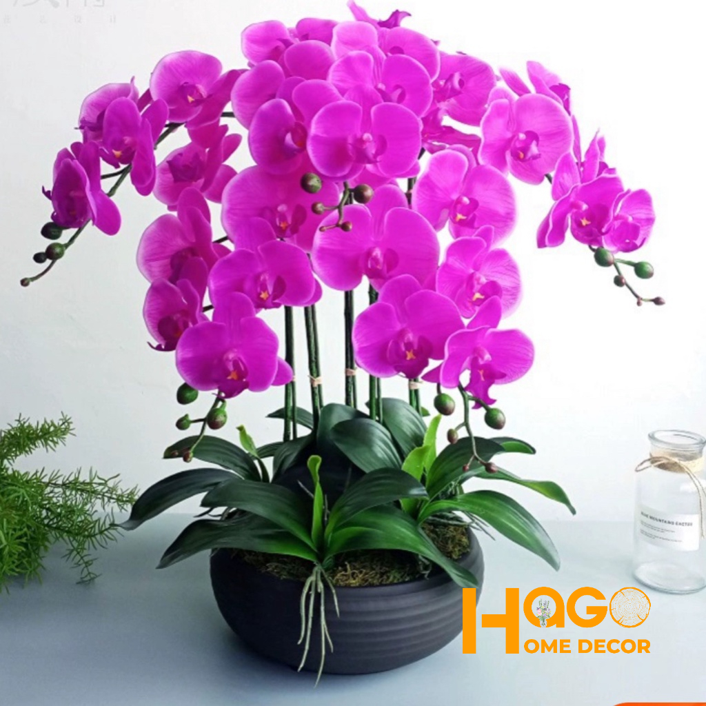 Chậu Lan Hồ Điệp Giả 5 đến 10 Nhánh Cắm Sẵn Cao 60cm Trang Trí Nhà Cửa,Công Ty, Nhà Hàng, Khách Sạn Sang Trọng
