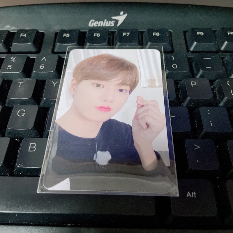 Thẻ ảnh Tempest Bandina 1.0