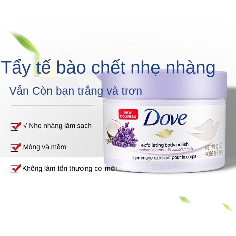 Kem Dove tẩy tế bào chết giúp dưỡng trắng da chăm sóc da chiết xuất bơ hạt mỡ và hạt lựu Trẻ hóa da 298g