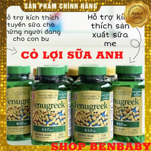 Cỏ lợi sữa FenuGreek Anh hàm lượng cao