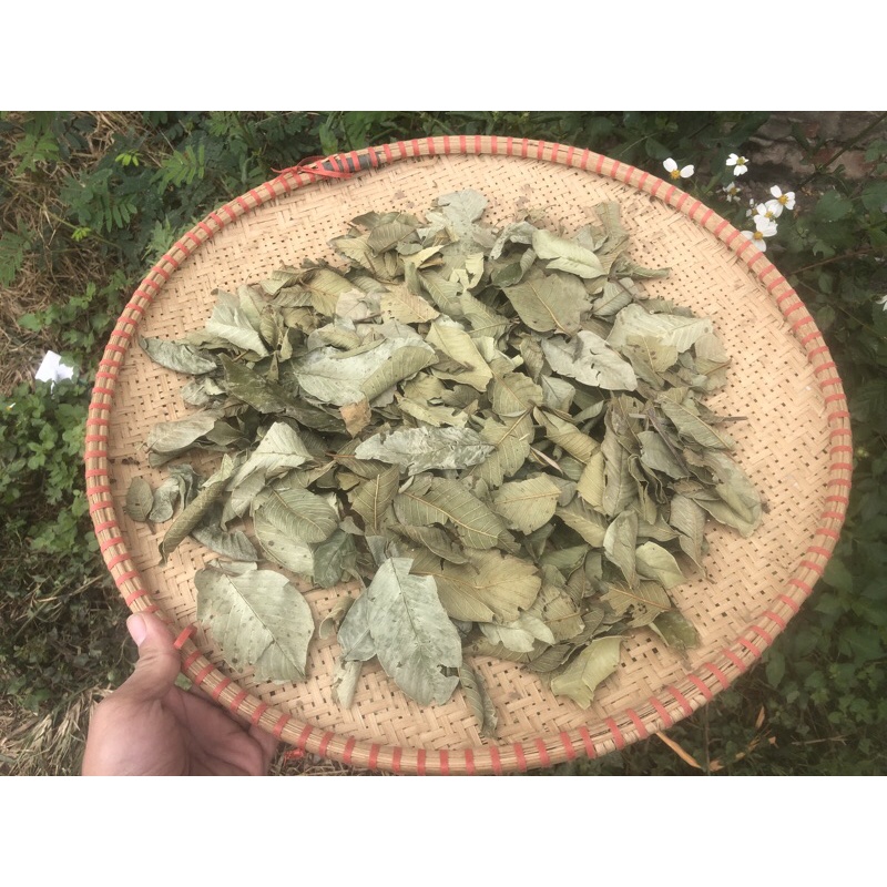 1kg lá ổi khô sạch