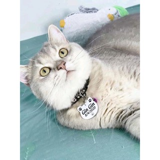Bảng thẻ tên dành cho thú cưng - Pet tag dành cho chó mèo hình kitty đủ màu tặng kèm chuông nhỏ