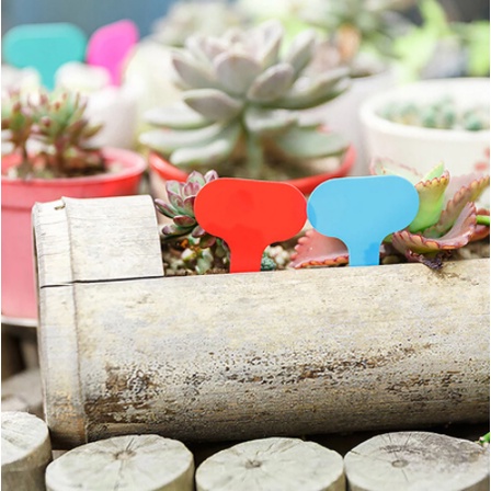 Thẻ Đánh Dấu Cây Trồng Bằng Nhựa PVC Chống Thấm Nước Có Thể Tái Sử Dụng Tiện Dụng