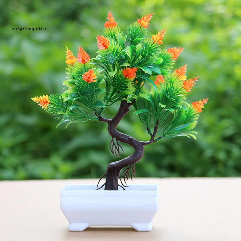 Chậu Cây Thông Nhân Tạo Để Bàn Trang Trí Nhà Cửa / Khách Sạn / Văn Phòng