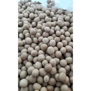 Hạt đậu rồng già