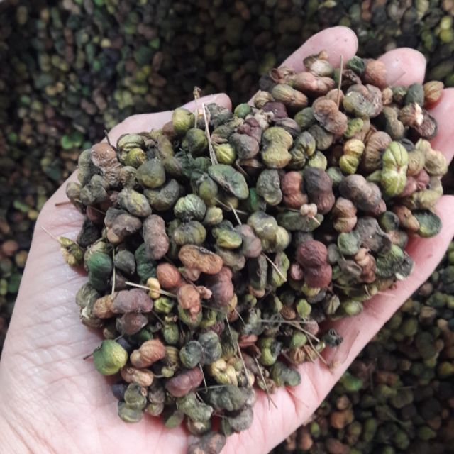 Nụ hoa tam thất 500g