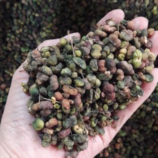 Nụ hoa tam thất 500g