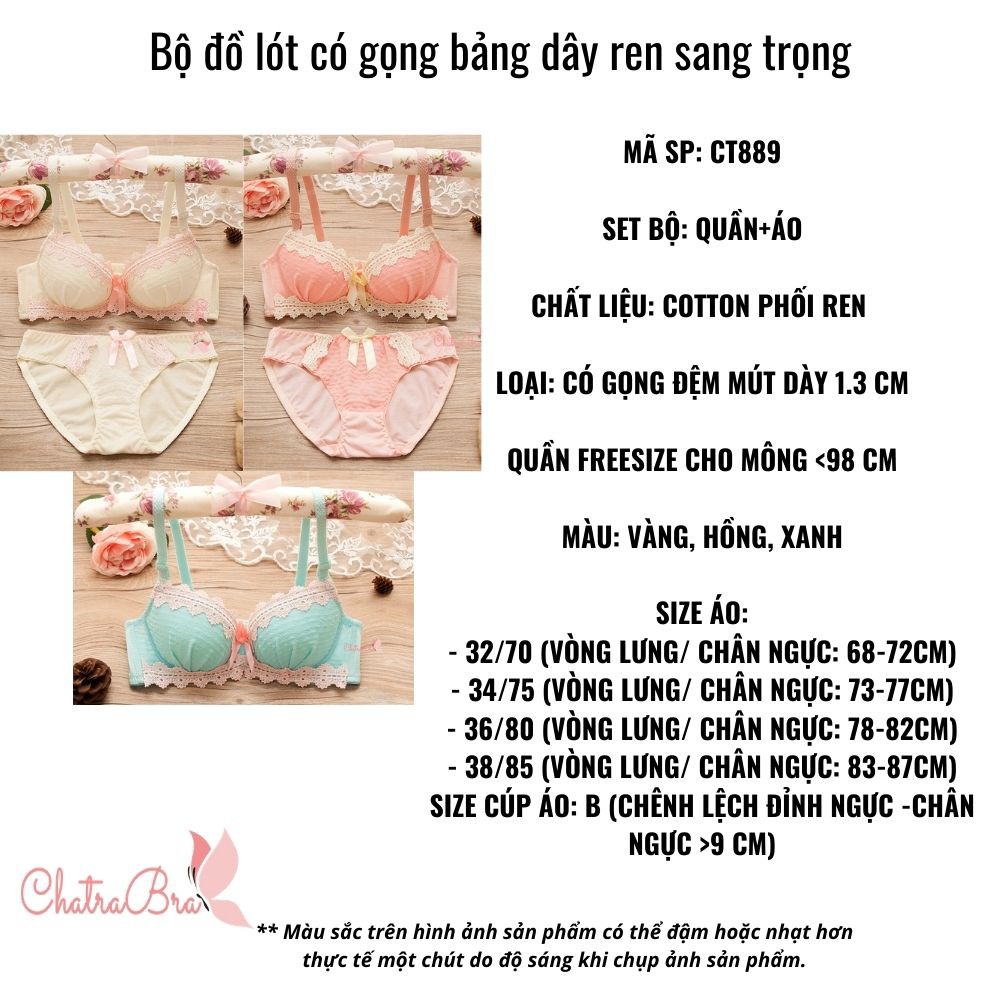 Set bộ đồ lót nữ đẹp cotton có gọng mút vừa viền ren thêu | BigBuy360 - bigbuy360.vn