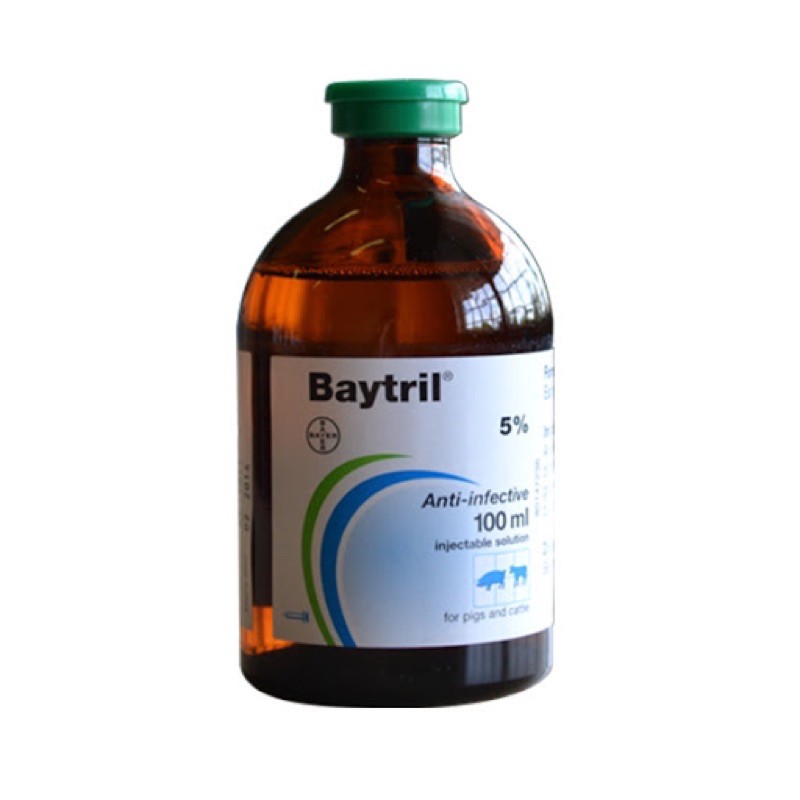 BAYTRIL® 5% - ĐỨC 100ML chuyên VI KHUẨN GRAM ÂM, GRAM DƯƠNG VÀ MYCOPLASMA.