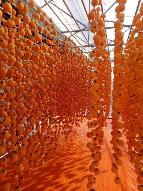 500G Hồng treo gió loại 1 - Hương vị Đà Lạt