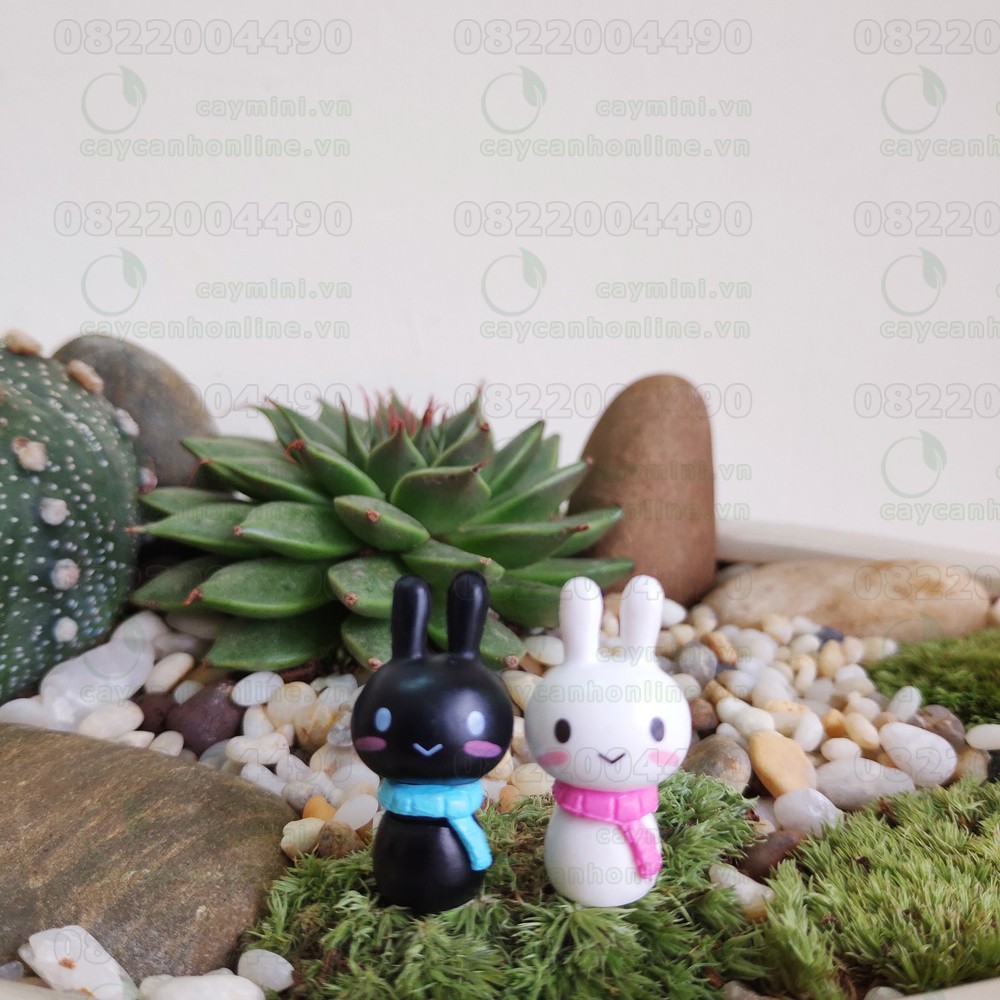 Phụ kiện trang trí tiểu cảnh Terrarium - Cặp đôi thỏ dễ thương