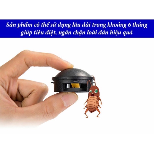 Thuốc diệt gián nhật bản hộp 12 viên