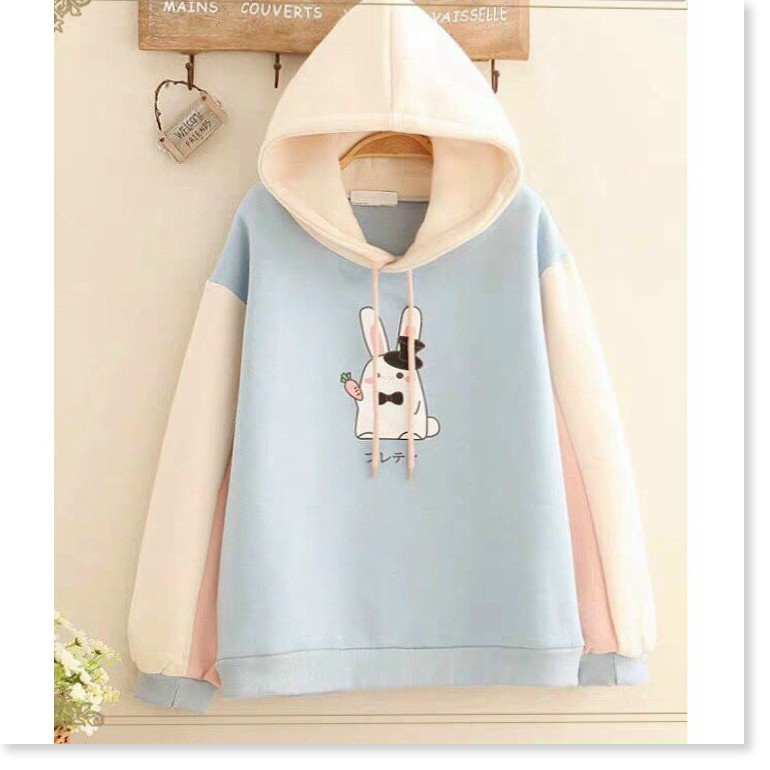 ÁO HOODIES NỮ HỌA TIẾT XINH XẮN MÀU SẮC TƯƠI MÁT FROM TO Y HÌNH KHÁNH AN STORE