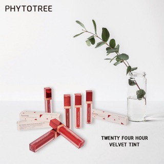 SON 24H PHYTO TREE TWENTY FOUR HOUR VELVET TINT