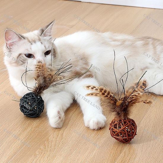 ĐỒ CHƠI CHÓ MÈO VỜN BẮT, BÓNG ĐAN BẰNG MÂY CÓ LÔNG VŨ,CHUÔNG LỤC LẠC