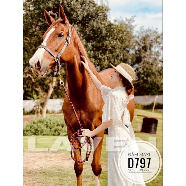 [Mã FAMARAL1 giảm 10K đơn 50K] Bigsize Đầm maxi D797 | BigBuy360 - bigbuy360.vn