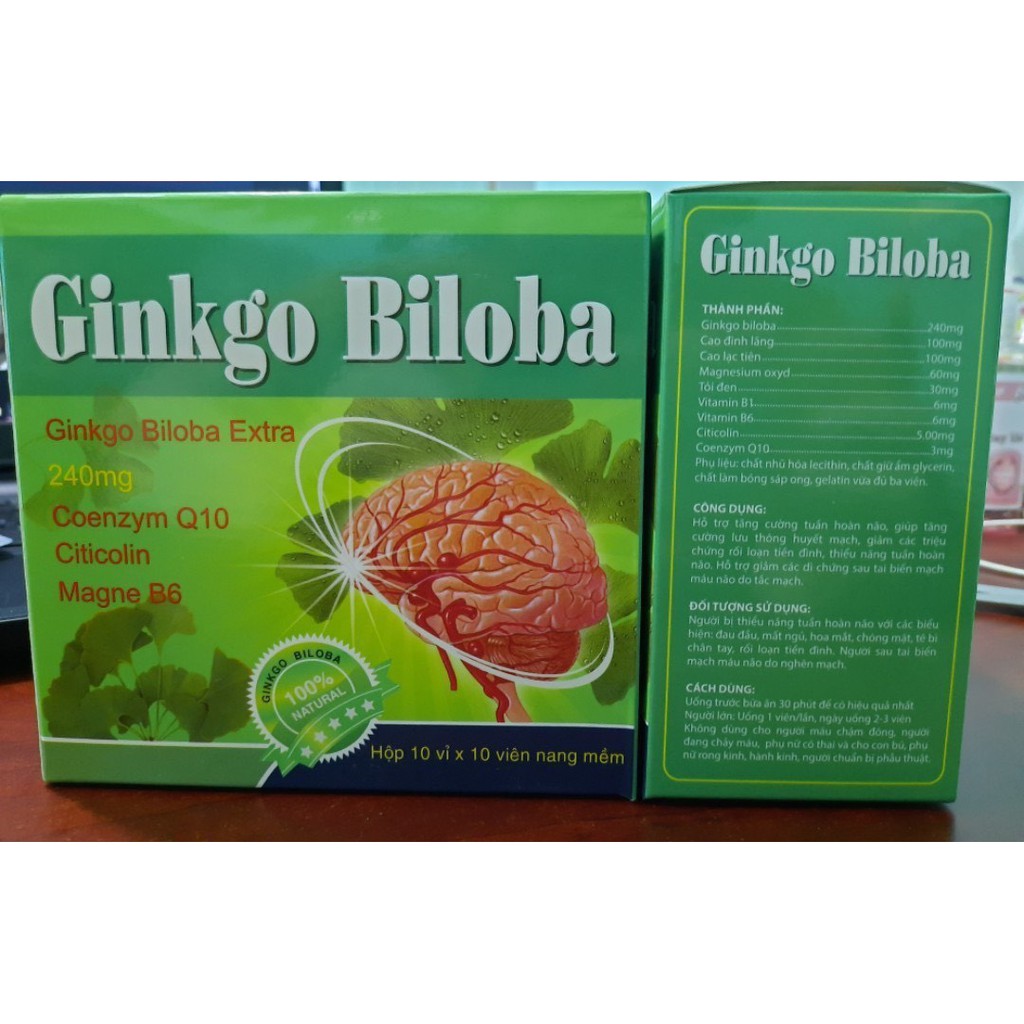 GINKGO BILOBA 240mg + Coenzym Q10+ Citicolin + Magne B6