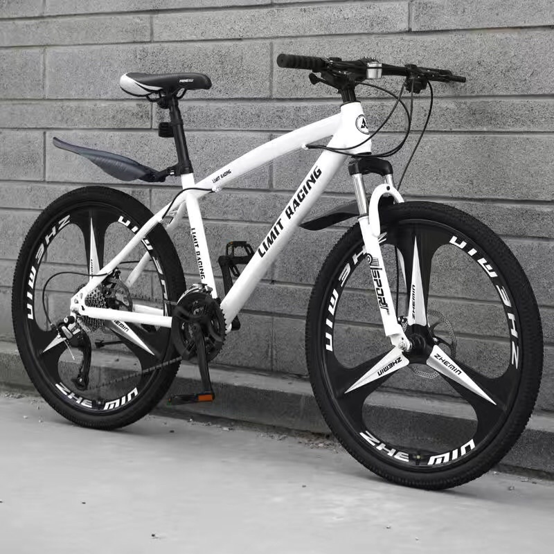 Xe đạp thể thao 26icnh