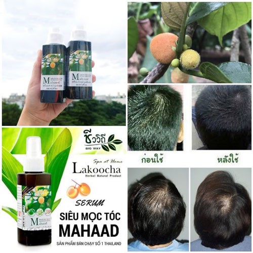 Serum Kích Thích Mọc Tóc Bio Way MAHAAD Lakoocha Herbal Hair and Scalp Condition Serum 120ml - Thái Lan