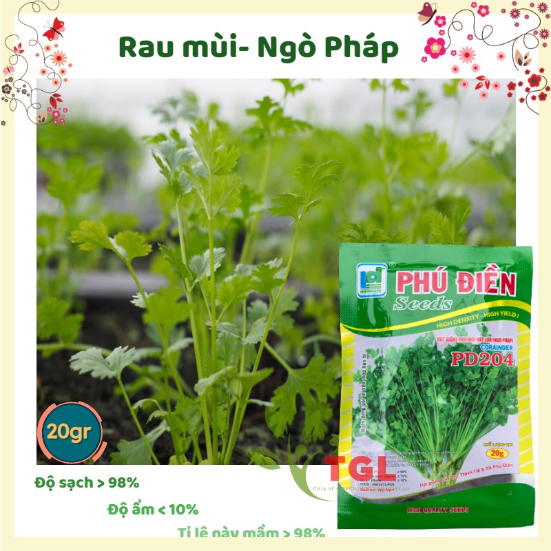 Hạt Giống Rau Mùi Hạt Lớn, Ngò Pháp Phú Điền, Hạt giống rau củ quả chất lượng tốt - Gói 20 Gram