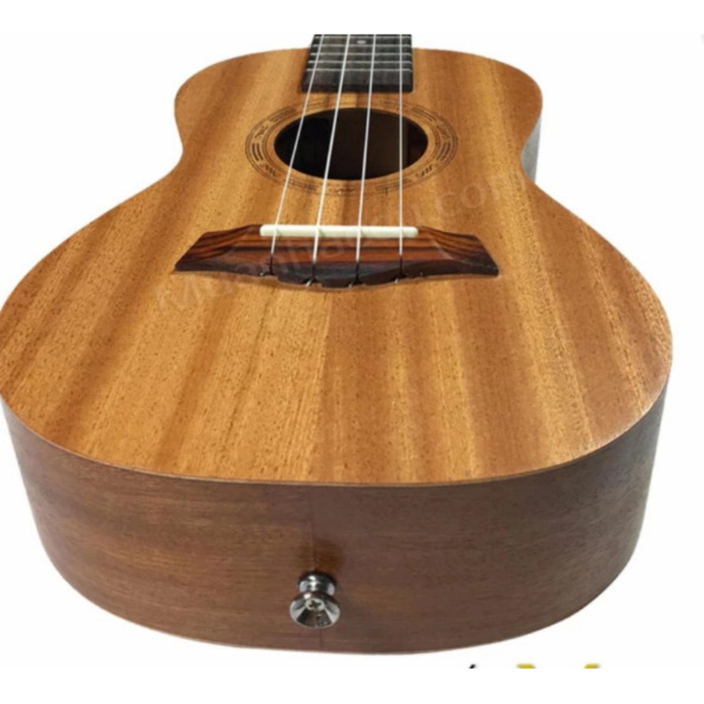 Đàn Ukulele BWS KBD size Concert