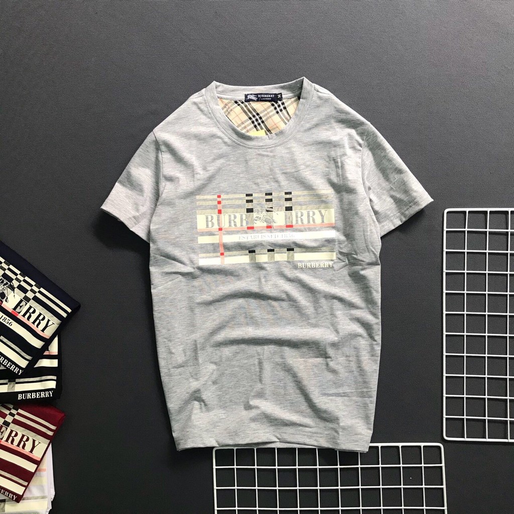 Áo thun nam cổ tròn áo phông vải cotton co giãn dày dặn nhiều màu - Bury tròn