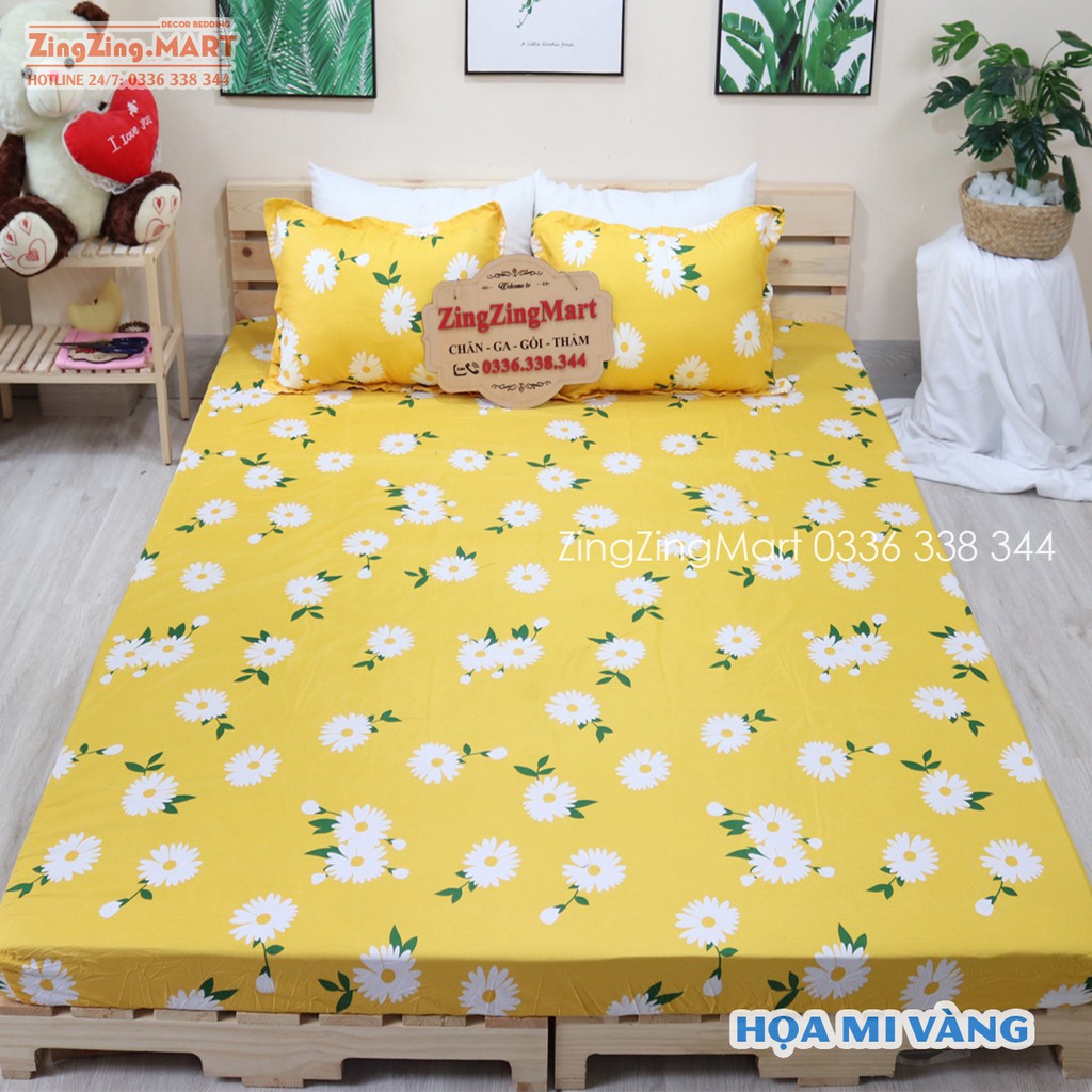 Bộ Ga Gối Poly Ga trải giường | Ga chun Drap giường Gấu Vàng ( 1m2/1m6/1m8/2m2) ZingZingMart