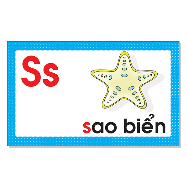 Sách Vui Học Tiếng Việt - Chữ Cái, Chữ Ghép Và Vần - Flashcard