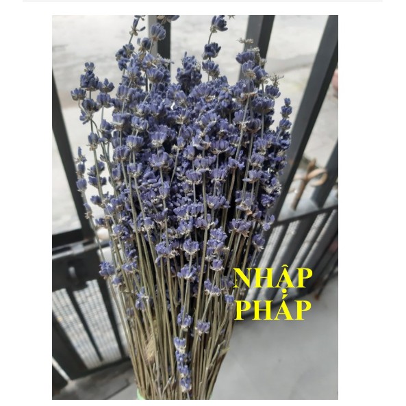 Bó hoa khô hoa lavender 130g (nhập Anh, nhập Pháp)