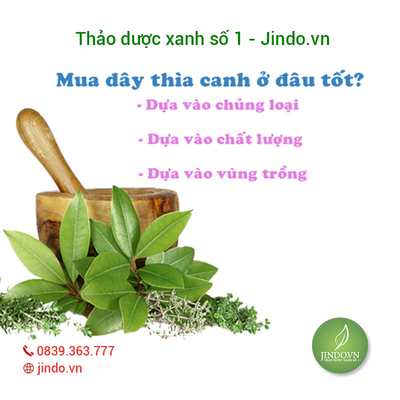 0,5kg Dây thìa canh rừng ổn định đường huyết, tốt cho người bệnh tiểu đường JD002