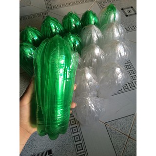 HOA GẤM BỘ NHỎ (MINI) 48 BÔNG