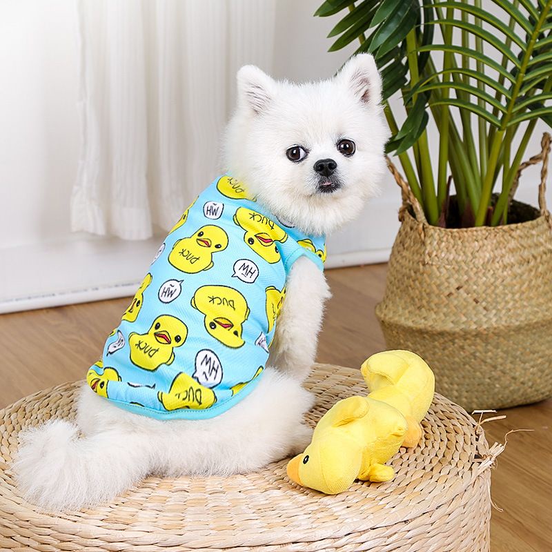 Áo Cho Chó Mèo  - Áo Con Vịt Cho Chó Mèo