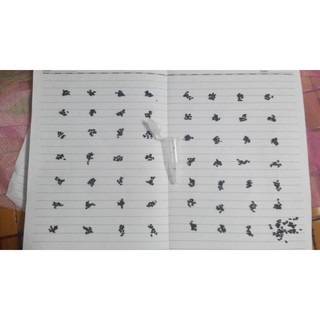 HẠT GIỐNG CỎ MAY MẮN - 500 Hạt/ gói
