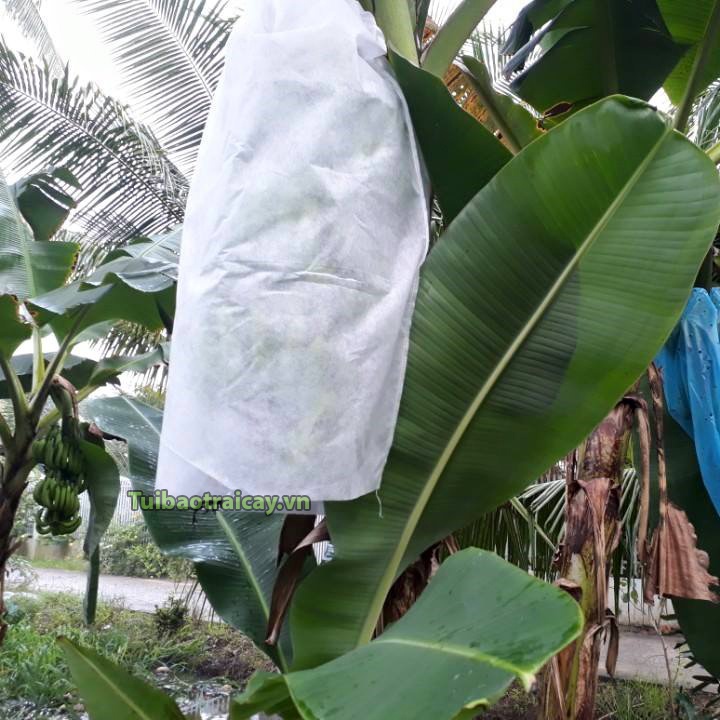 Túi bọc trái chuối Thanh Hà bằng vải không dệt 60x100 - 1 túi
