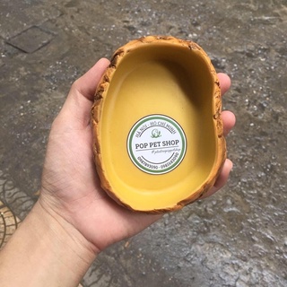Máng ăn - Máng nước dành cho bò sát (ms22s)
